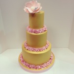 10469965_706693306032547_513539137_n