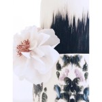 10891460_10152998847199747_8797348789275702986_n